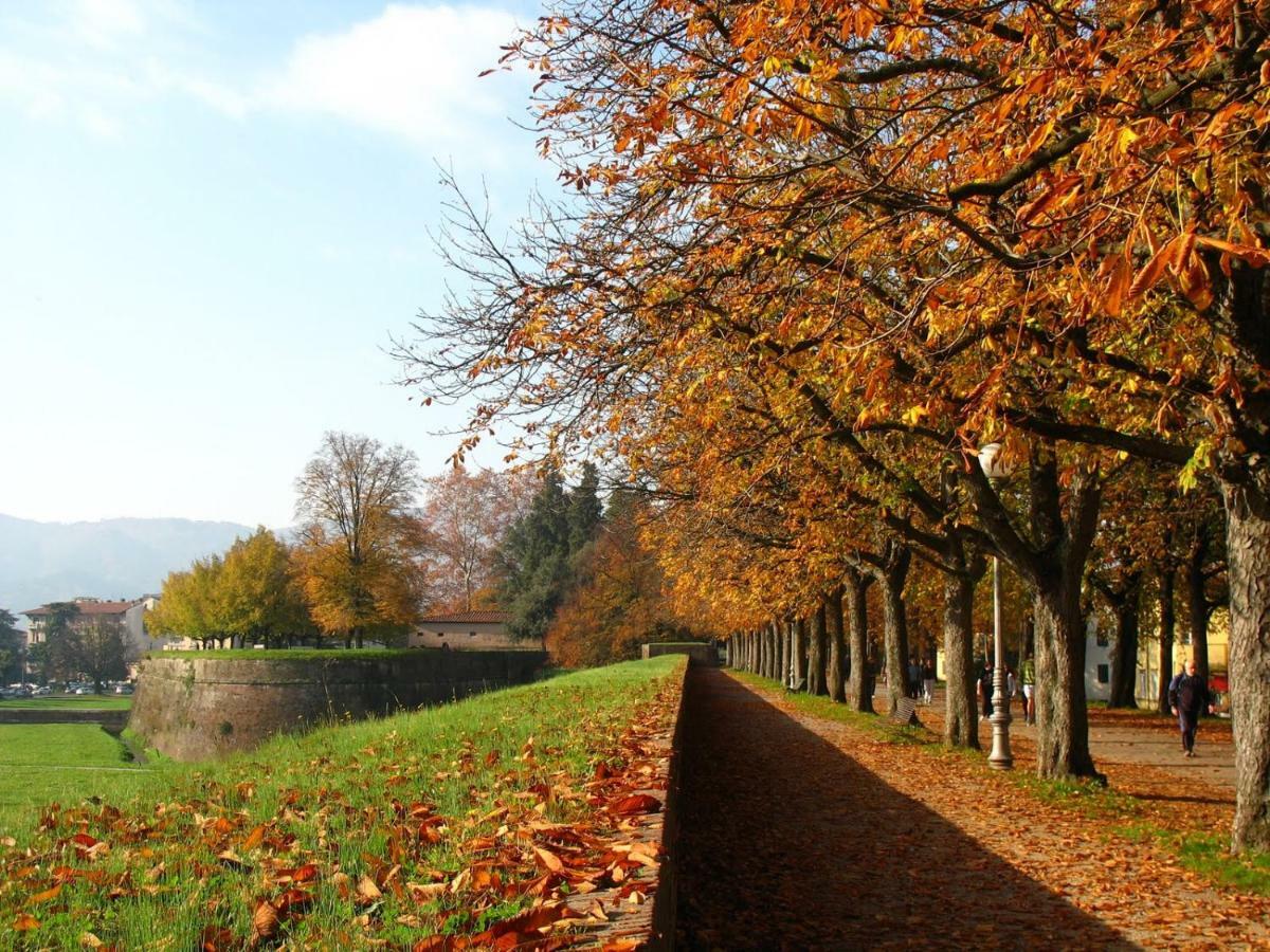 Villa Grespola Lucca Dış mekan fotoğraf